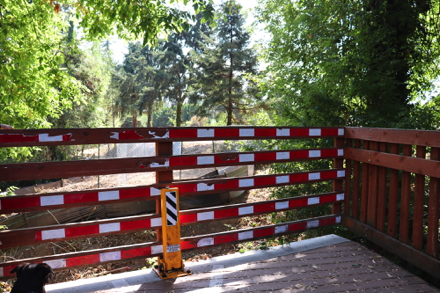 End of boardwalk - future plans are to extend boardwalk to Brown's Ferry Park